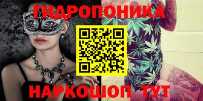 альфа пвп Ачхой-Мартан
