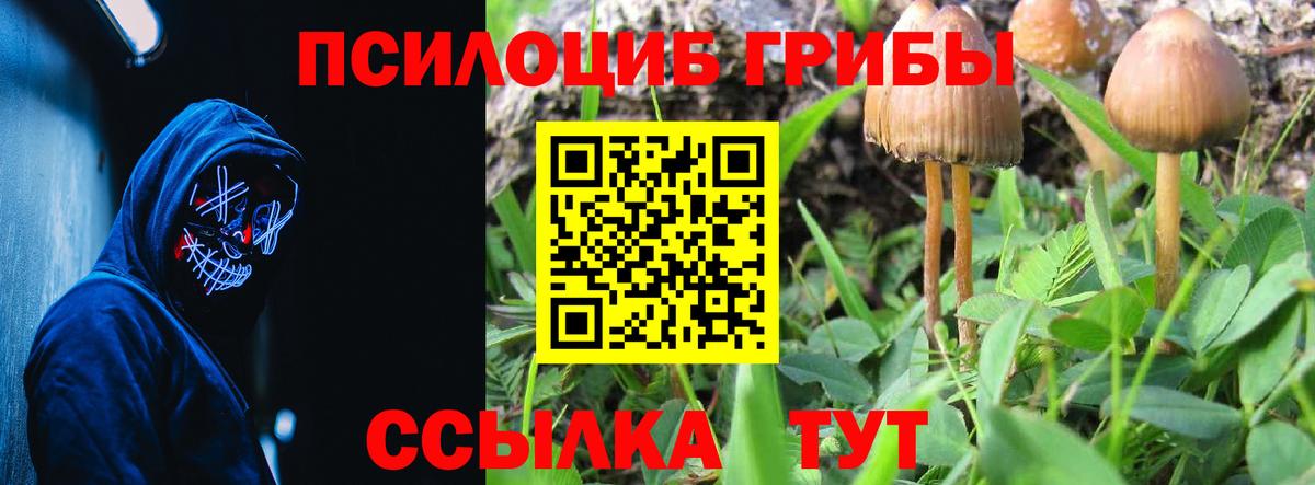 Асбест  Псилоцибиновые грибы Psilocybe  Вход с VPN  Псилоцибиновые грибы мухоморы 